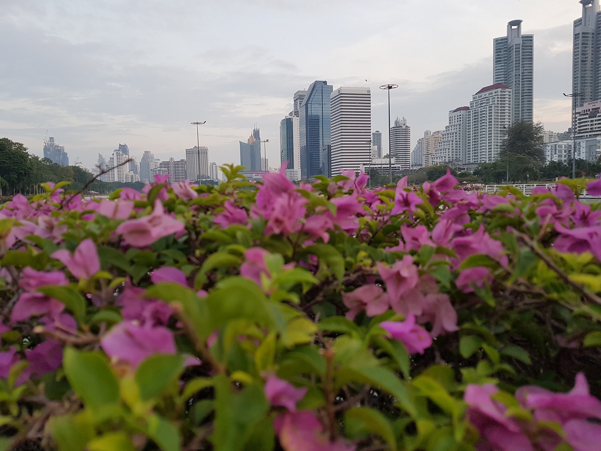 Thailand: property market reflects strengthening economy