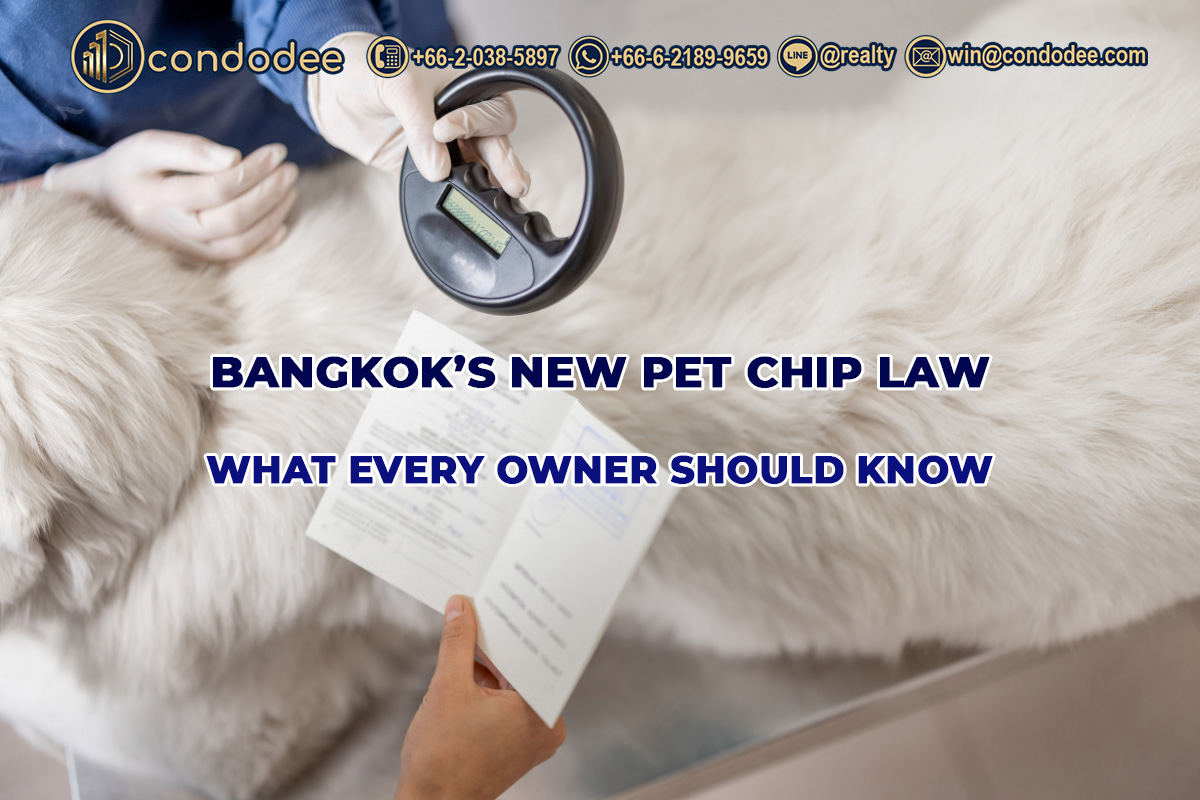 New Pet Microchipping Law in Bangkok: Everything You Need to Know